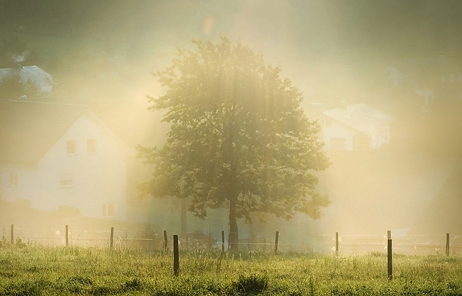 在线DDOS压力测试网页端