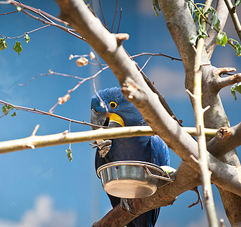 安全的自助平台推荐的网页DDOS攻击平台