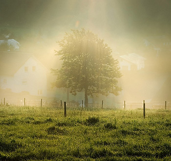 快速的网页在线DDOS压力测试